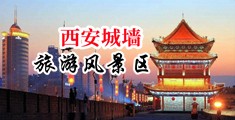 骚屄是用来肏的中国陕西-西安城墙旅游风景区